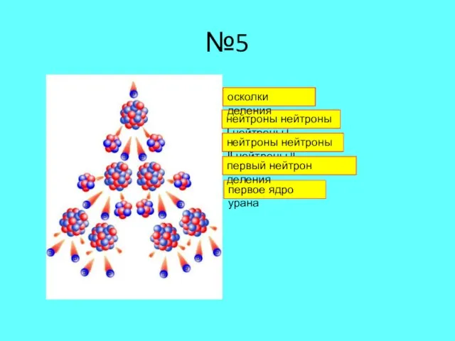 №5 нейтроны нейтроны I нейтроны I поколения осколки деления первое ядро