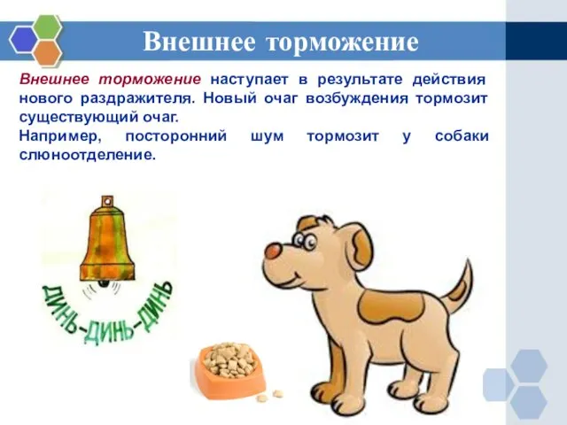 Внешнее торможение Внешнее торможение наступает в результате действия нового раздражителя. Новый