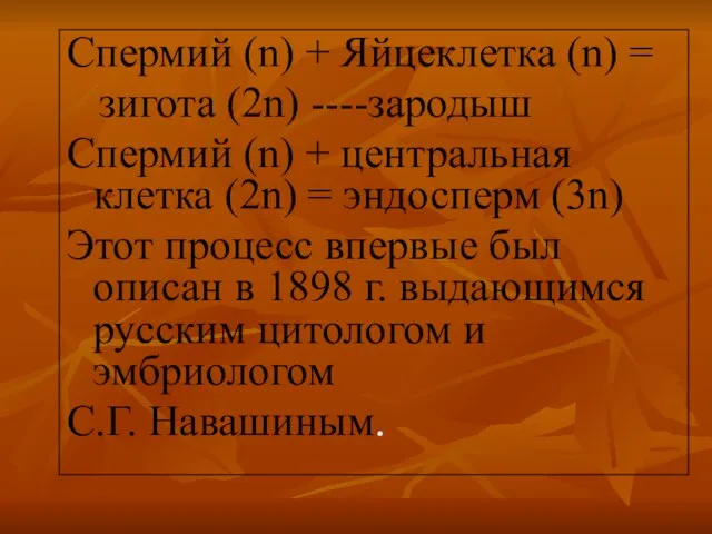 Спермий (n) + Яйцеклетка (n) = зигота (2n) ----зародыш Спермий (n)