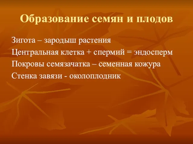 Образование семян и плодов Зигота – зародыш растения Центральная клетка +