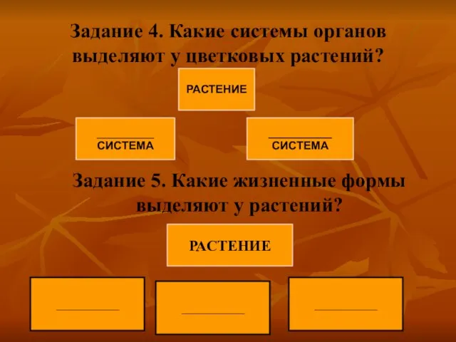 Задание 4. Какие системы органов выделяют у цветковых растений? Задание 5.