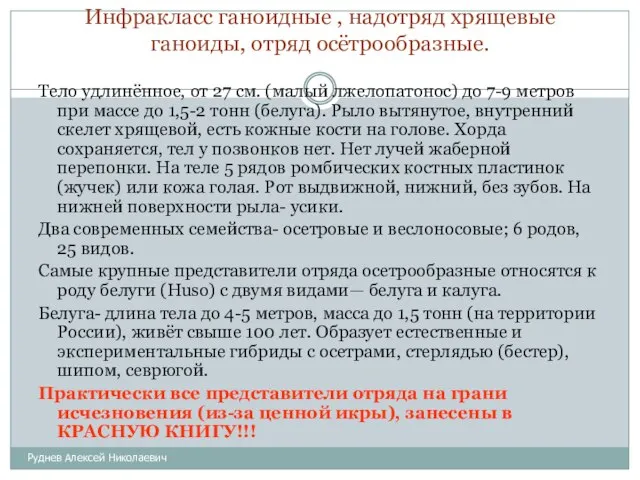 Инфракласс ганоидные , надотряд хрящевые ганоиды, отряд осётрообразные. Руднев Алексей Николаевич