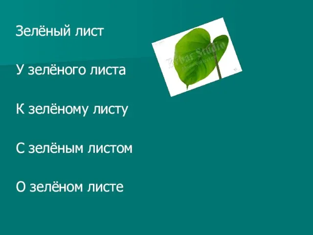 Зелёный лист У зелёного листа К зелёному листу С зелёным листом О зелёном листе