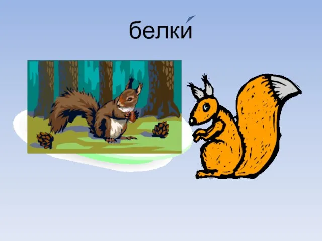 белки