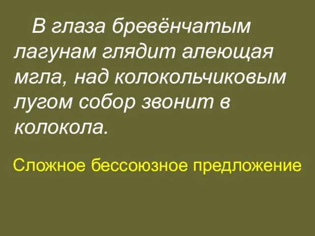 В глаза бревёнчатым лагунам глядит алеющая мгла, над колокольчиковым лугом собор