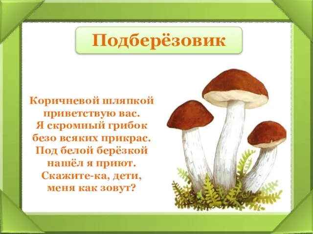 Коричневой шляпкой приветствую вас. Я скромный грибок безо всяких прикрас. Под