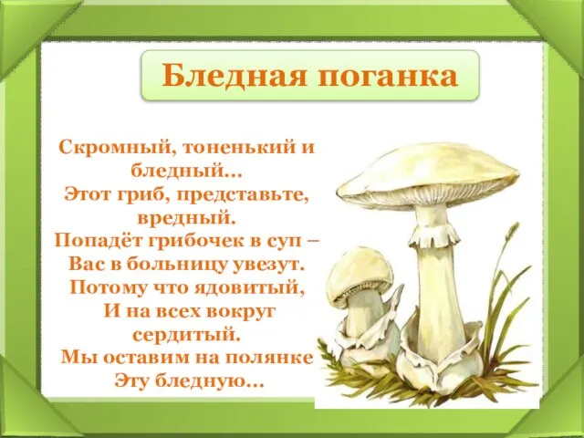 Скромный, тоненький и бледный... Этот гриб, представьте, вредный. Попадёт грибочек в