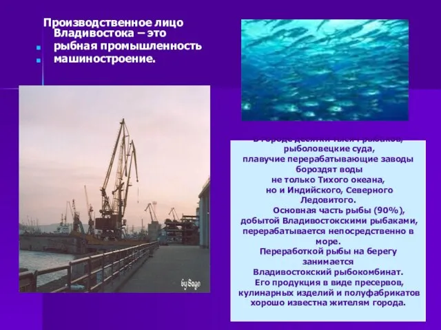 Производственное лицо Владивостока – это рыбная промышленность машиностроение. В городе десятки