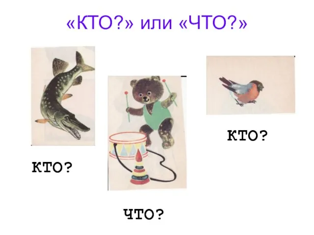 «КТО?» или «ЧТО?» КТО? ЧТО? КТО?