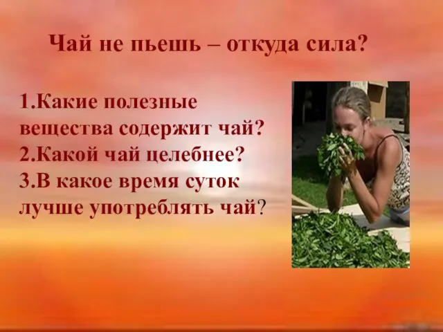 Чай не пьешь – откуда сила? 1.Какие полезные вещества содержит чай?