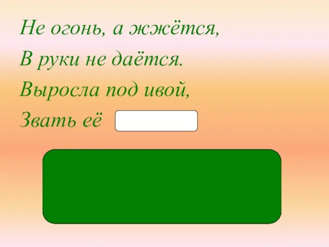 Не огонь, а жжётся, В руки не даётся. Выросла под ивой, Звать её кра-пи́-ва кр_пи́ва