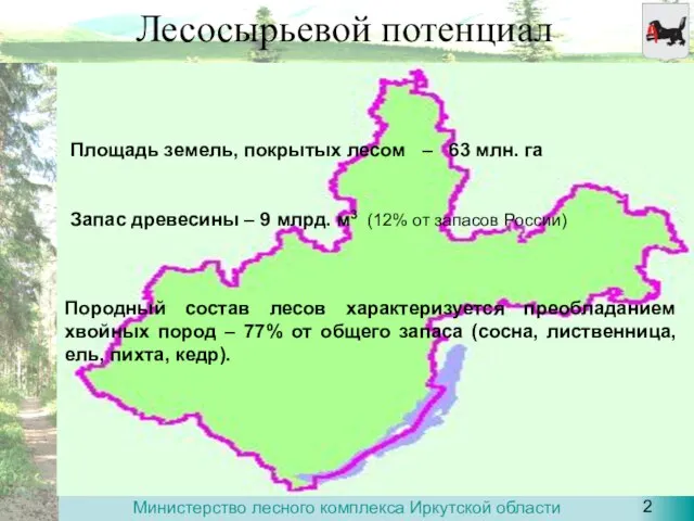 Лесосырьевой потенциал Площадь земель, покрытых лесом – 63 млн. га Запас