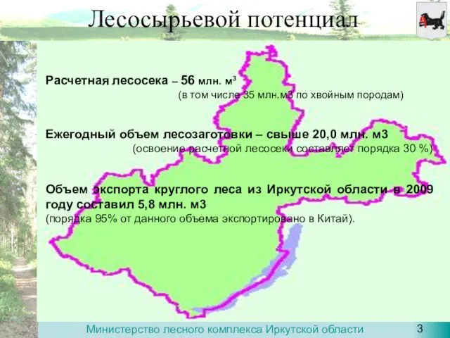 Лесосырьевой потенциал Расчетная лесосека – 56 млн. м3 (в том числе