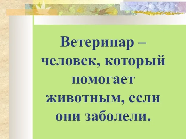 Ветеринар – человек, который помогает животным, если они заболели.