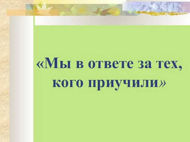 «Мы в ответе за тех, кого приучили»