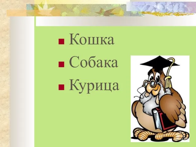 Кошка Собака Курица