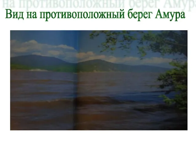 Вид на противоположный берег Амура