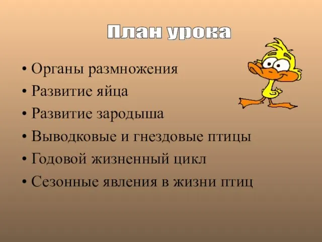 Органы размножения Развитие яйца Развитие зародыша Выводковые и гнездовые птицы Годовой