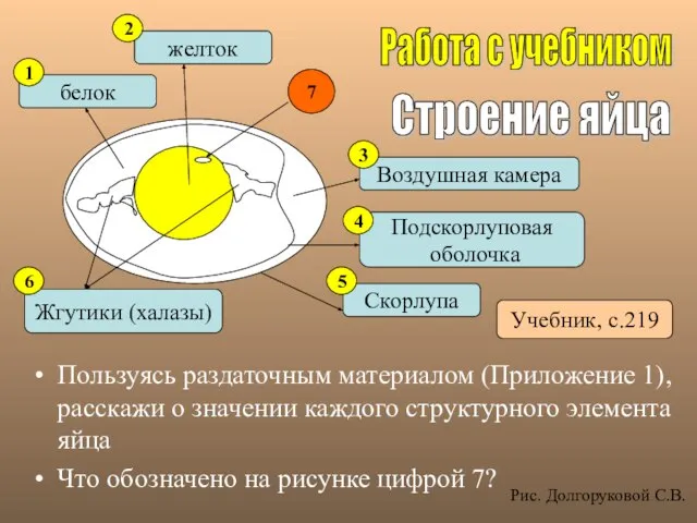 Пользуясь раздаточным материалом (Приложение 1), расскажи о значении каждого структурного элемента