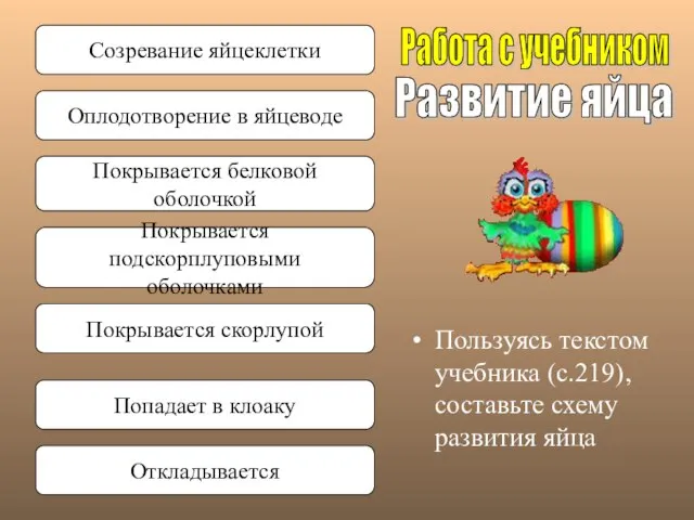 Пользуясь текстом учебника (с.219), составьте схему развития яйца Развитие яйца Работа