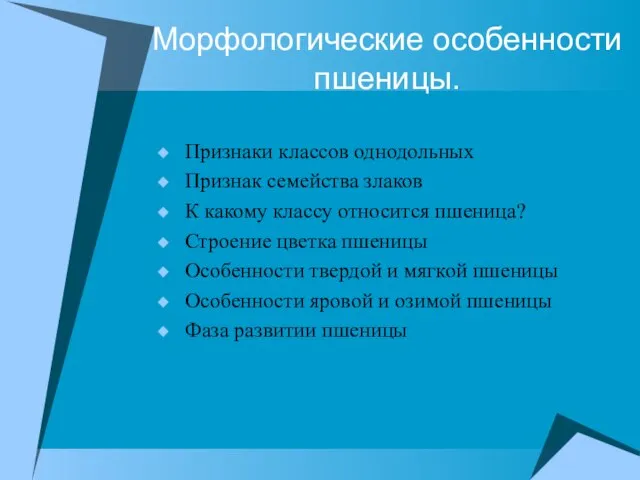 Морфологические особенности пшеницы. Признаки классов однодольных Признак семейства злаков К какому