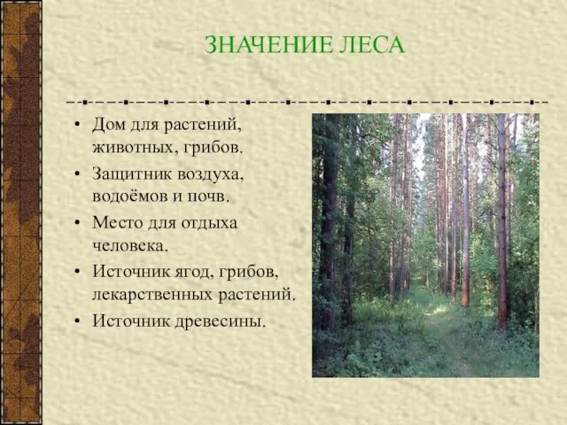 ЗНАЧЕНИЕ ЛЕСА Дом для растений, животных, грибов. Защитник воздуха, водоёмов и