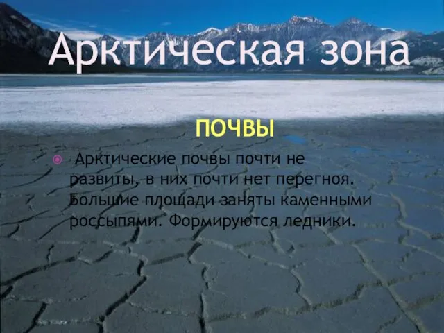 ПОЧВЫ Арктические почвы почти не развиты, в них почти нет перегноя.