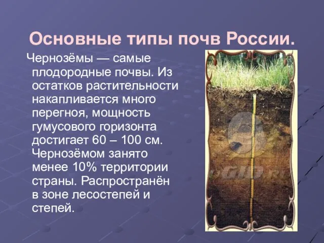 Основные типы почв России. Чернозёмы — самые плодородные почвы. Из остатков