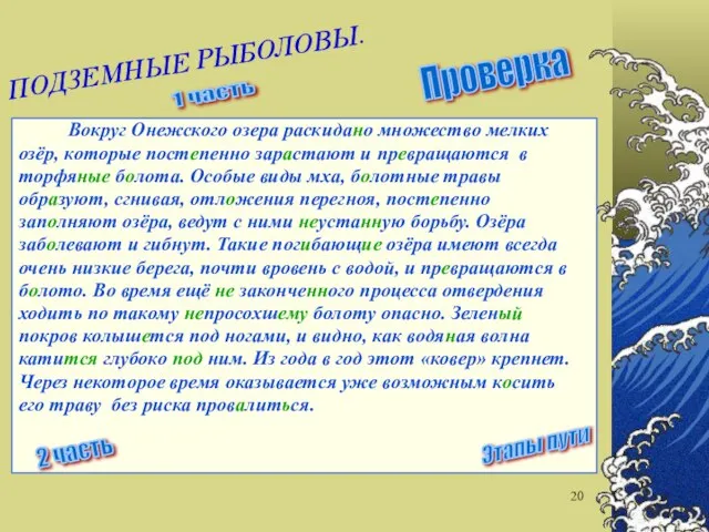 Вокруг Онежского озера раскидано множество мелких озёр, которые постепенно зарастают и