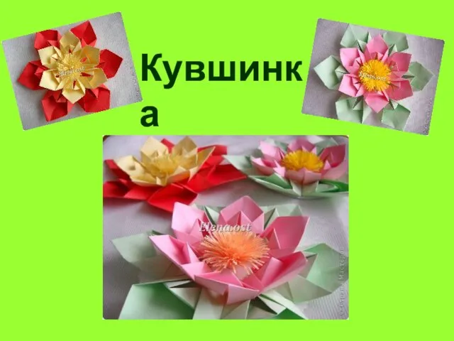 Кувшинка