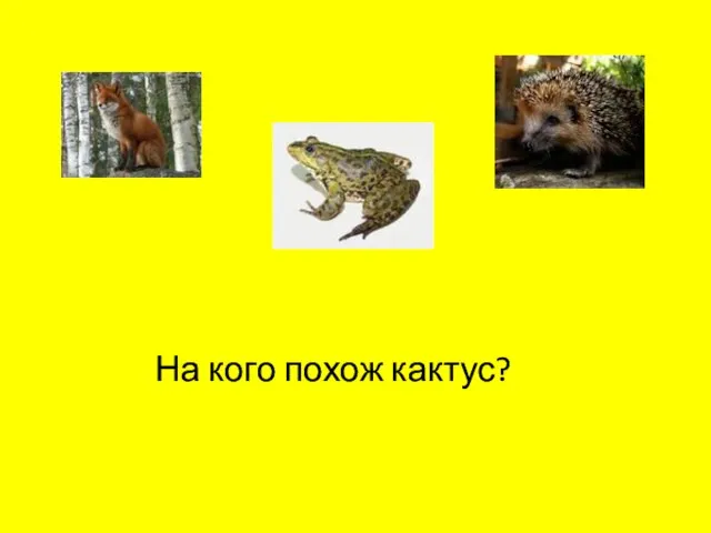 На кого похож кактус?