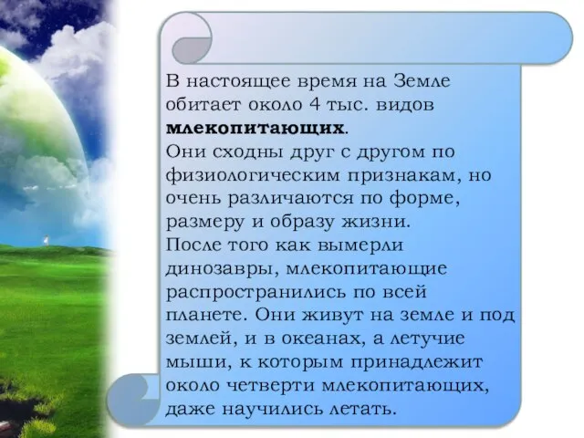 В настоящее время на Земле обитает около 4 тыс. видов млекопитающих.