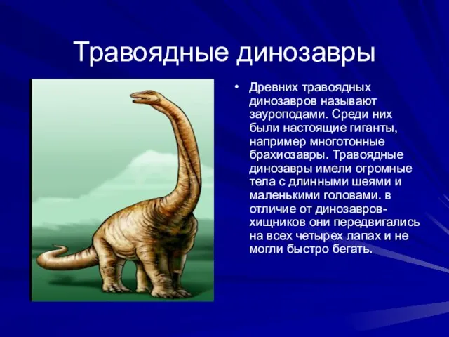Древних травоядных динозавров называют зауроподами. Среди них были настоящие гиганты, например
