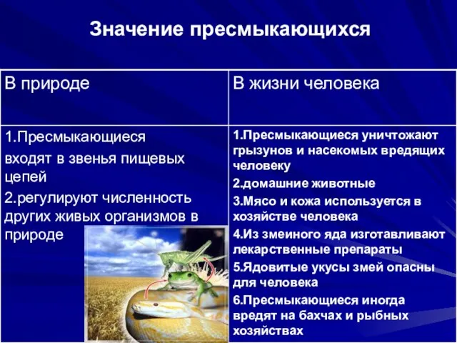 Значение пресмыкающихся