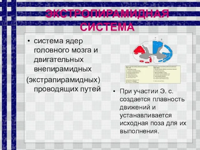 ЭКСТРОПИРАМИДНАЯ СИСТЕМА система ядер головного мозга и двигательных внепирамидных (экстрапирамидных) проводящих