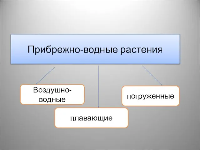 Прибрежно-водные растения Воздушно-водные плавающие погруженные