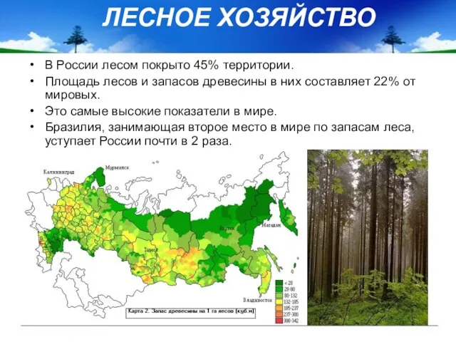 ЛЕСНОЕ ХОЗЯЙСТВО В России лесом покрыто 45% территории. Площадь лесов и