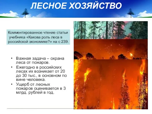 ЛЕСНОЕ ХОЗЯЙСТВО Важная задача – охрана леса от пожаров. Ежегодно в