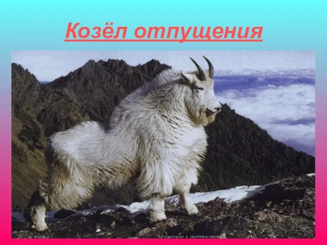 Козёл отпущения