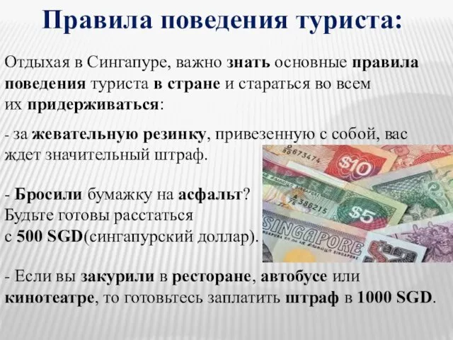 Правила поведения туриста: Отдыхая в Сингапуре, важно знать основные правила поведения