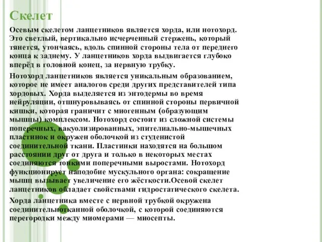 Скелет Осевым скелетом ланцетников является хорда, или нотохорд. Это светлый, вертикально