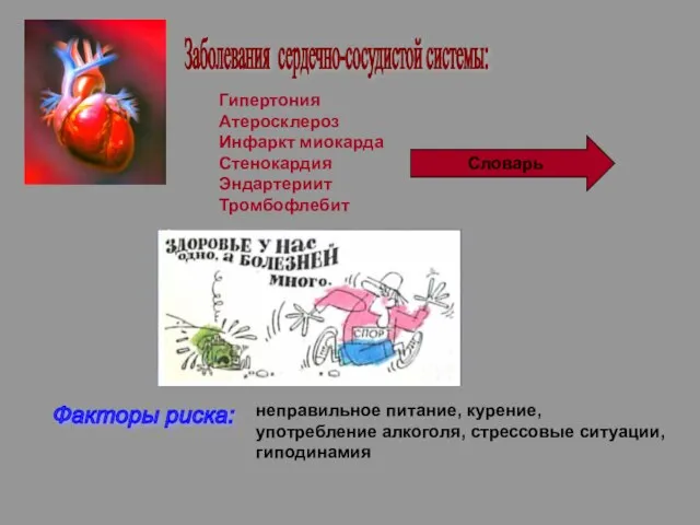 Заболевания сердечно-сосудистой системы: Гипертония Атеросклероз Инфаркт миокарда Стенокардия Эндартериит Тромбофлебит Словарь