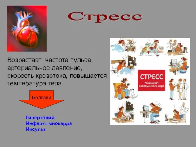 Стресс Возрастает частота пульса, артериальное давление, скорость кровотока, повышается температура тела Болезни Гипертония Инфаркт миокарда Инсульт