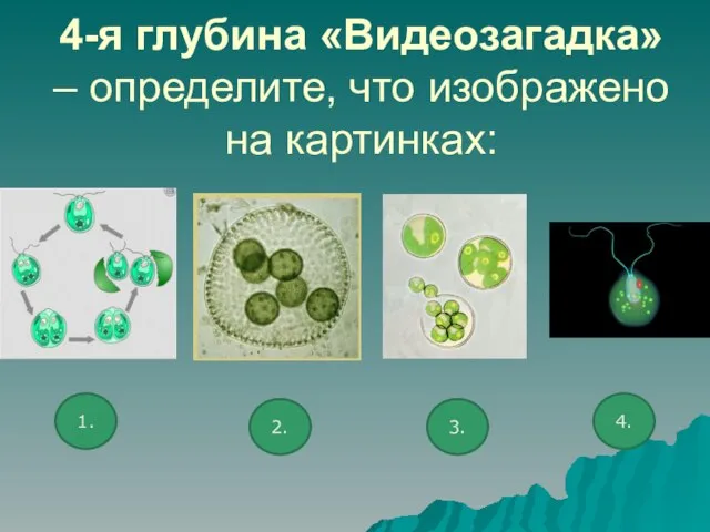 4-я глубина «Видеозагадка» – определите, что изображено на картинках: 1. 2. 3. 4.