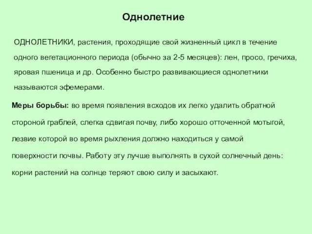 Однолетние ОДНОЛЕТНИКИ, растения, проходящие свой жизненный цикл в течение одного вегетационного