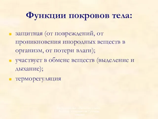 Функции покровов тела: защитная (от повреждений, от проникновения инородных веществ в