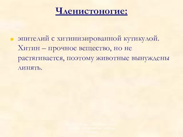 Членистоногие: эпителий с хитинизированной кутикулой. Хитин – прочное вещество, но не