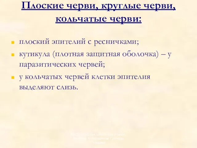 Плоские черви, круглые черви, кольчатые черви: плоский эпителий с ресничками; кутикула