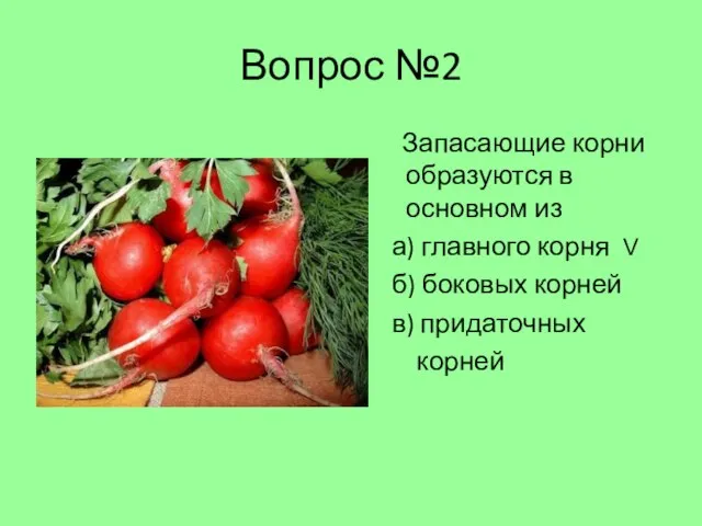 Вопрос №2 Запасающие корни образуются в основном из а) главного корня