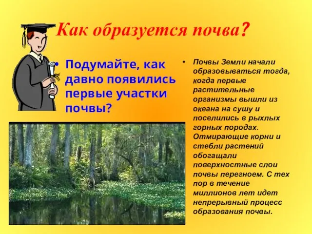 Как образуется почва? Подумайте, как давно появились первые участки почвы? Почвы